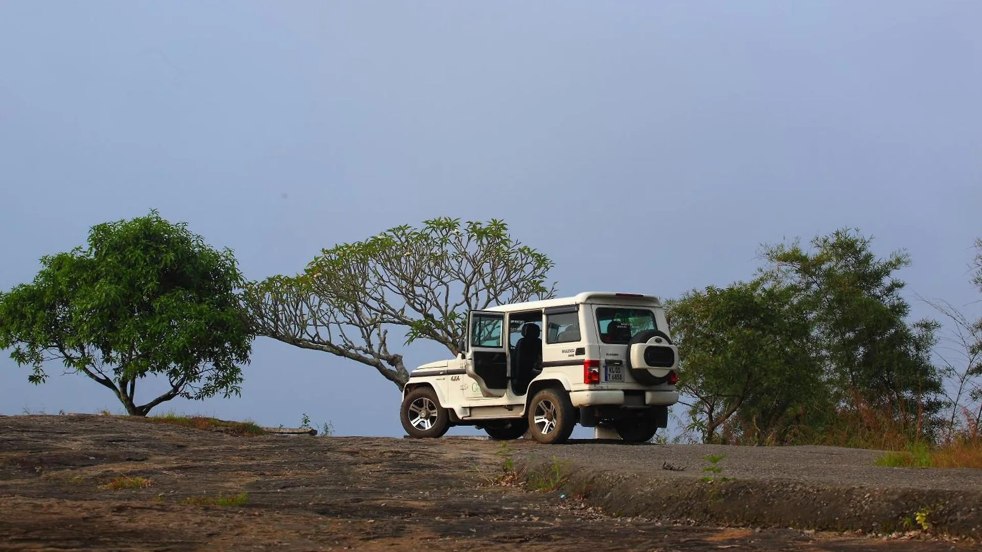 Ayur Green Resort And Spa Munnar