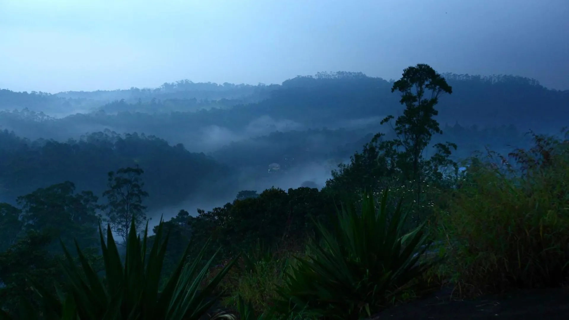 Ayur Green Resort And Spa Munnar Hotel